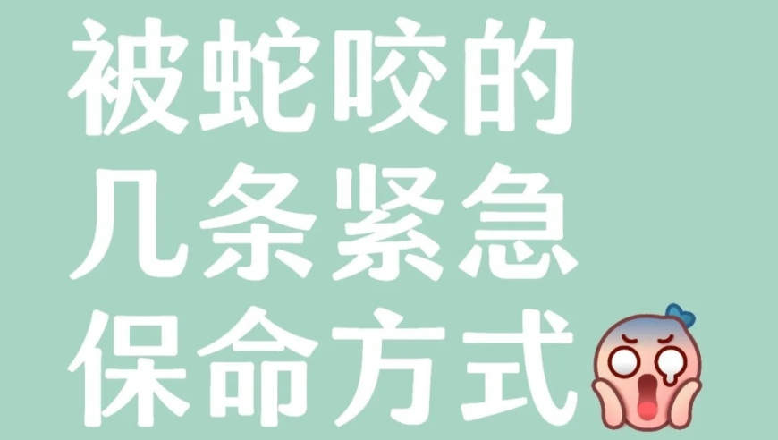 股票型ETF相继上市,香港赛马会六肖49333,公开决策资料解释落实_优选版V13.38