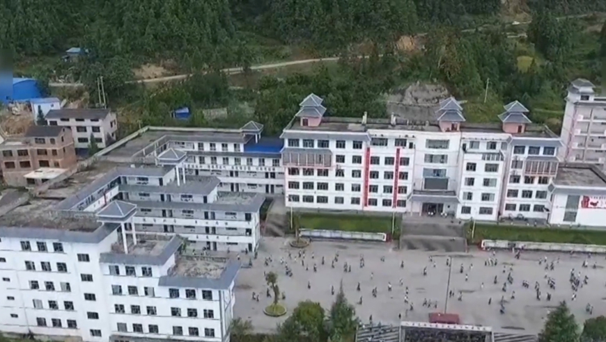 塌房大主播集体“复活”,王中王跑狗解析059期一字記之曰豹豹伏林深欲捉流萤闪转腾挪,展开计划实施_潮流版V1.36