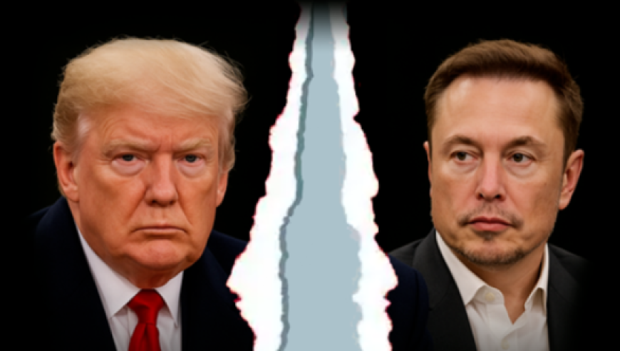 2025澳彩开奖记录查询表下载最新,全红婵要签名照兴奋到搓手,收益成语分析落实_移动版V13.24